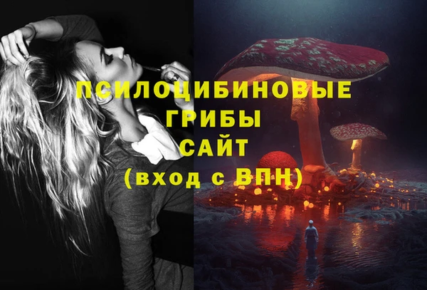 PSILOCYBIN Лихославль