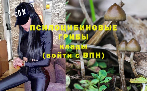 2c-b Липки