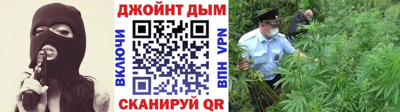 Купить  Кадников  Бошки марихуана Amnesia 